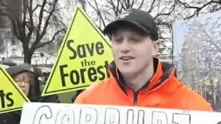 Greens rally for forest conservation