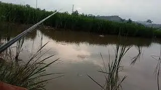 spot berkumpulnya wader #mancing #mancing 