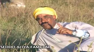 Al Alami - SEDDO ALIYA FAMKOM  | Music, Rai, chaabi,  3roubi - راي مغربي -  الشعبي