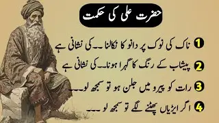 Hazrat Ali ki hikmat | hazrat Ali quotes | danain ki Batain | aqwal-e-zareen | hikmat ki Batain 
