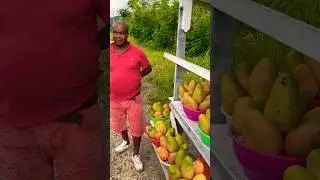 Taste of Paradise | Jamaican East Indian Mango Delight