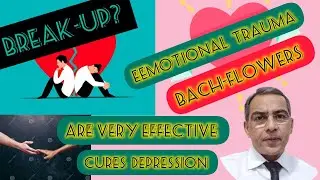 BREAK-UP?? - BACH-FLOWERS Helps to recover from trauma.