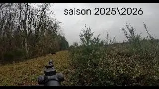 saison chasse 2025\2026 partie 1 ( chevreuil,sanglier,cervid&eacute;s)