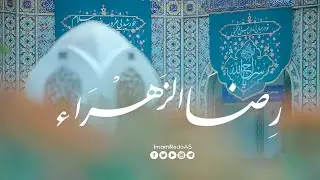 شاهد | رضا الزهراء | بمناسبة مولد الإمام الرضا علیه السلام