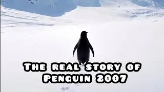 The Real Story Of Penguin | Happened in 2007