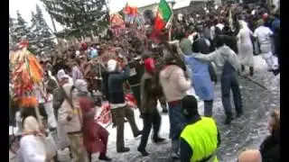 Capra Oituz 2008