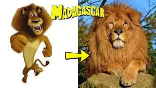 Madagascar Characters in Real Life 🦁 | Cartoon vs Realistic
