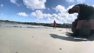 GSPCA grey seal pup release Guernsey