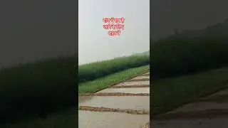 MyVillage #shorts #youtubeshorts #trending #sadsong #viral #shortvideo #shortsfeed #gaanv #subscribe