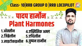 Plant hormones | padap harmon in hindi | पादप हॉर्मोन्स | padap harmons | hormone and their function