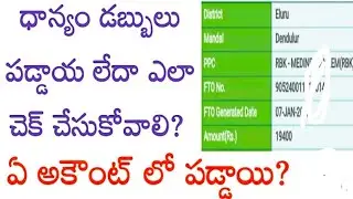 How to Check  Paddy Payment Status 2026