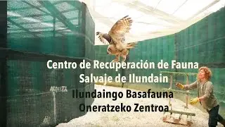 Centro de Recuperaci&oacute;n de Fauna Salvaje de Ilundain / Ilundaingo Basafauna Oneratzeko Zentroa