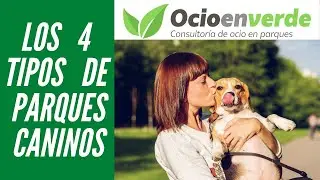 4 tipos de parques caninos