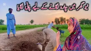New Ghar Mein Chare Ke Liye Pani Lagaya | village life mud house family Vlogs | Happy Village Family