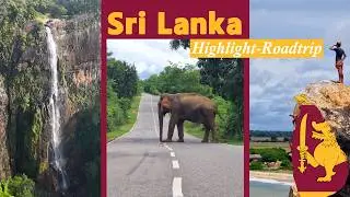 Ein Roadtrip, den wir so schnell nicht vergessen werden! | Von Ella zur Südküste | Tuk-Tuk Sri Lanka