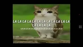 Lagu meowl guys bikin 12 januari 2026