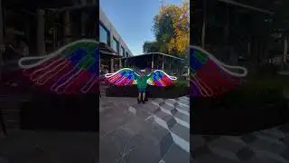 Neon Angel Wings - timelapse
