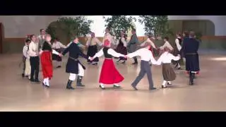 Visi darzina
