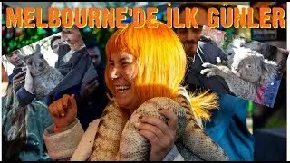 KANGURU VE KOALA SEVDİM, YILANA SARILDIM! ~ Melbourne'de İlk Günler