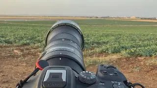 Cessna Citation landing in Beja International Airport.