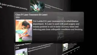 Vet 4 Timeline (English)