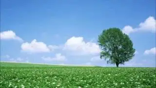 Surrender All