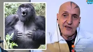 IMITAR A UN SIMIO PARA SER UN MACHO ALFA CON COTO MATAMOROS