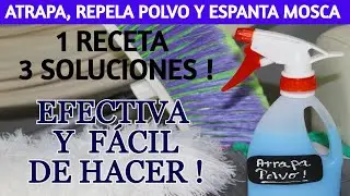 🔝 c&oacute;mo eliminar y repelar  el POLVO   Y LAS MOSCAS / Dulce y Natural.