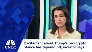 Excitement about Trump's pro-crypto stance has tapered off, investor says