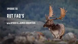 Episode 56 - &ldquo;Rut FAQ's&rdquo; - The Twin Elements Podcast - With Ayden & James Doumtsis