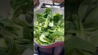 Bok Choy for anti inflammation. Diet is the #1 reason for anxiety! Include more greens on your diet.