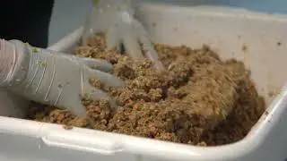 Fresh Food, Made with Love