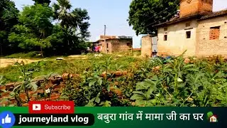 बबुरा गांव 😍|| babura Village|| संतोष भाई के घर का बगीचा #village #गांव #video #bihar