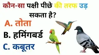 10 General Knowledge Questions | Ultimate GK Challenge | 10 में से 8 सही करके दिखाओ #gk #gkfacts26