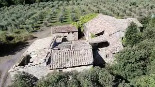 Tipico podere toscano con oliveto, Casole d'Elsa (Siena) - BETTITOSCANA Rif. 2260
