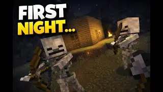 First Night Minecraft