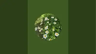 NatureX is live !