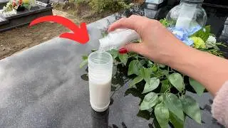 Sprinkle this around the WICK. The candle will burn longer