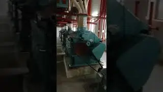 Miller sarwar Hasham floor mills