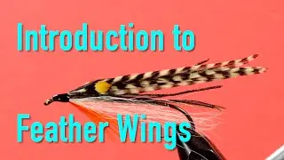 Traditional Bucktails and Streamers: An Introduction to the Feather Wing Streamer Series
