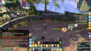 Senticar Guide by DK