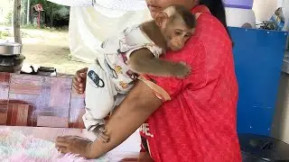 Little Monkey Jason Softly Behavior Clinging To Rest On Mom's Hand