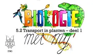 5V - 5.2 Transport in planten deel 1