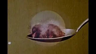 Lightning Bug &mdash; No Paradise (Official Music Video)