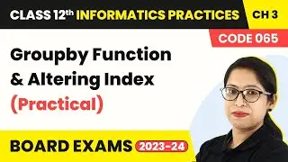 Groupby Function & Altering Index (Practical) (Code 065) |Class 12 Informatics Practices Ch 3 | 2024