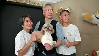 Perfect Dog Reunion