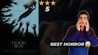 Good Boy Review || Good Boy Movie 2025 || Review || Reviews Room 