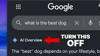 How to Turn Off AI Overview in Google Chrome Search Results