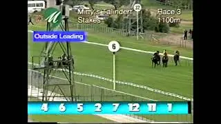 2002 Talindert Stakes Flemington
