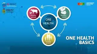 ONE HEALTH BASICS   DAY 1